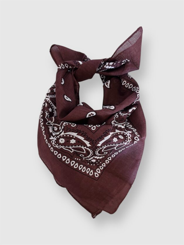 Stay Calma - Paisley scarf (brown)